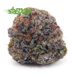 Buy Snowman OG AAA at BudExpressNOW Online Shop