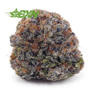 Buy Snowman OG AAA at BudExpressNOW Online Shop