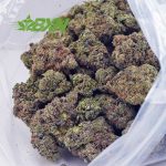 Buy Snowman OG AAA at BudExpressNOW Online Shop