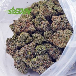 Buy Snowman OG AAA at BudExpressNOW Online Shop
