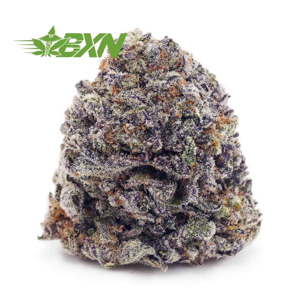 Buy Blueberry Skunk AAAA at BudExpressNOW Online Shop