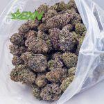Buy Blueberry Skunk AAAA at BudExpressNOW Online Shop