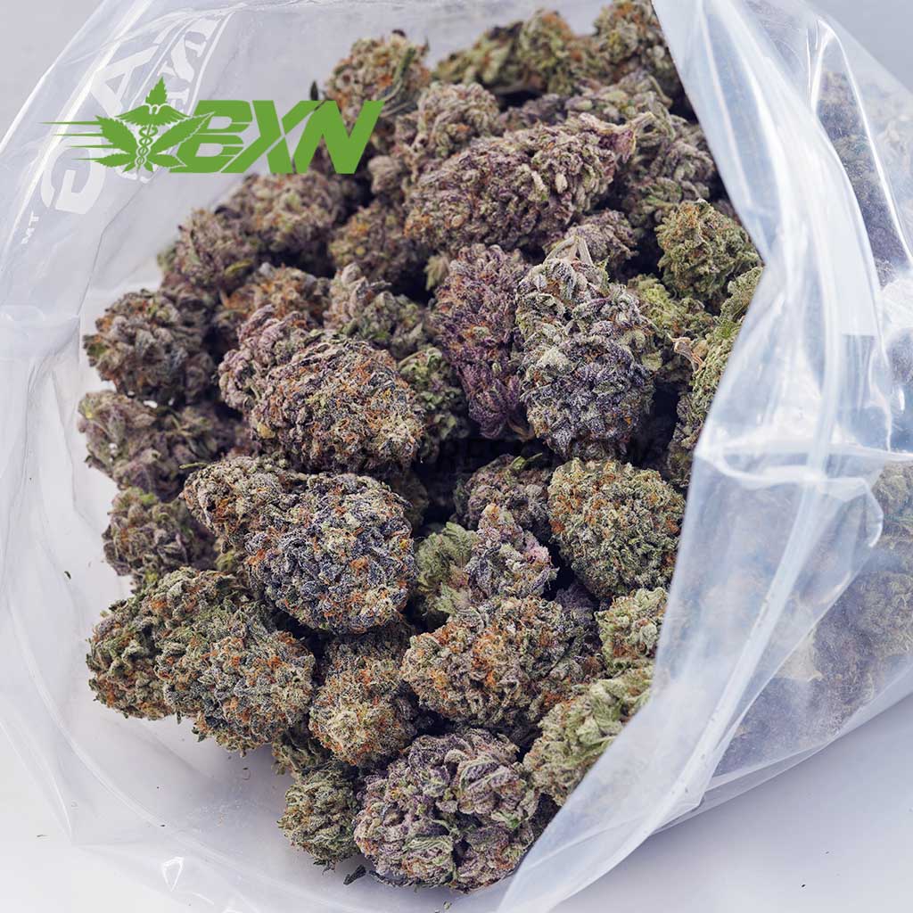 Buy Blueberry Skunk AAAA at BudExpressNOW Online Shop