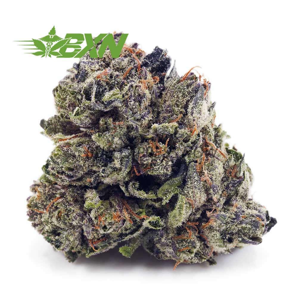 Buy Purple Afghan Kush AAAA at BudExpressNOW Online Shop