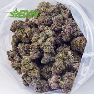 Buy Purple Afghan Kush AAAA at BudExpressNOW Online Shop