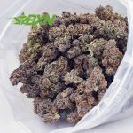 Buy Black Widow AAAA at BudExpressNOW Online