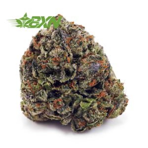 Buy Master Kush AA at BudExpressNOW Online Shop