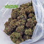 Buy Master Kush AA at BudExpressNOW Online Shop