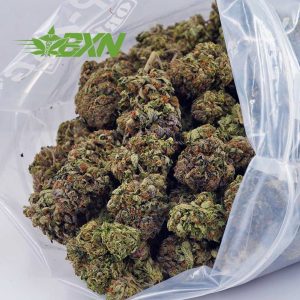 Buy Master Kush AA at BudExpressNOW Online Shop