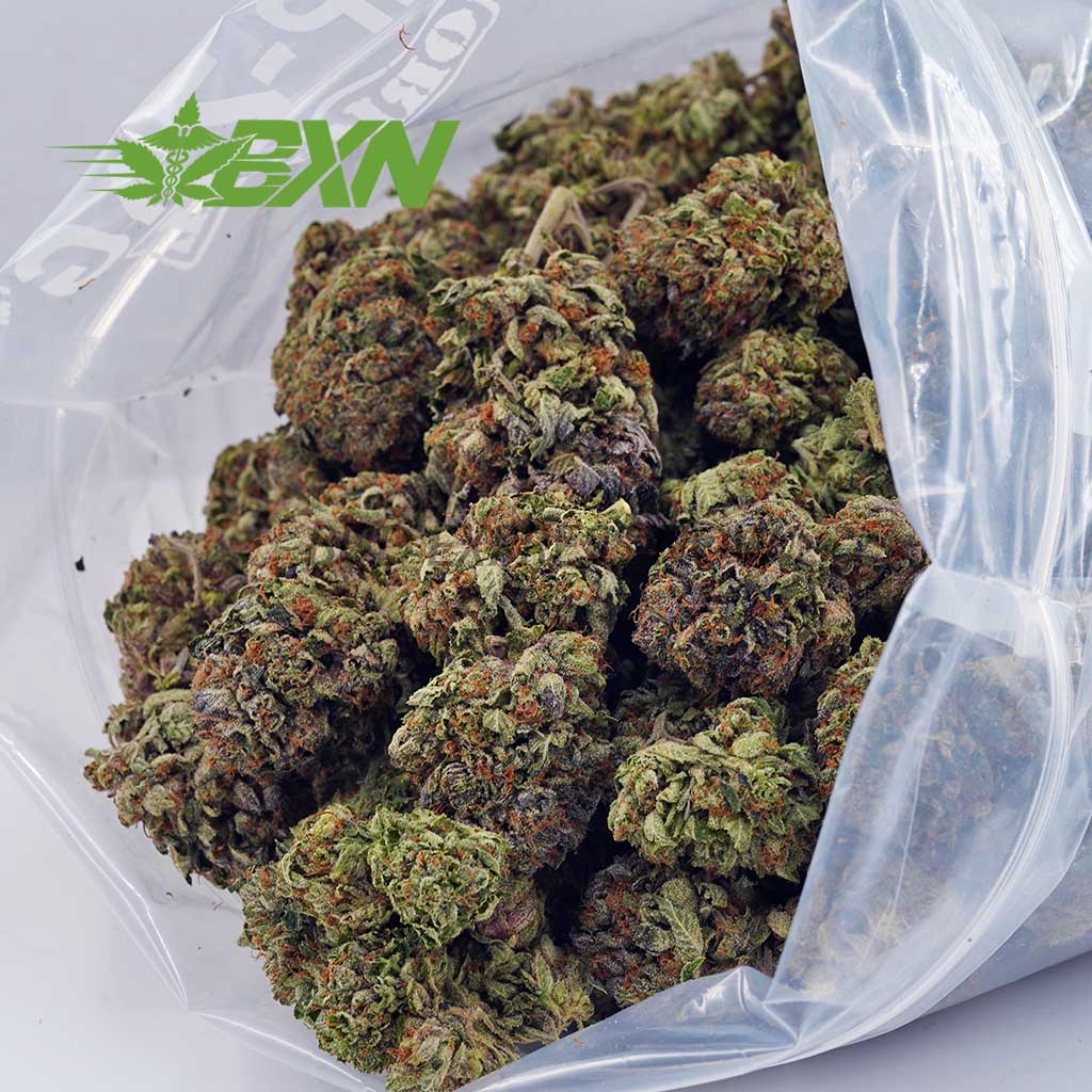 Buy Master Kush AA at BudExpressNOW Online Shop