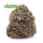 Buy Space Cookies AA at BudExpressNOW Online Shop