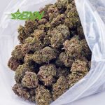 Buy Space Cookies AA at BudExpressNOW Online Shop