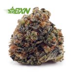 Buy Shiva Skunk AA at BudExpressNOW Online Shop