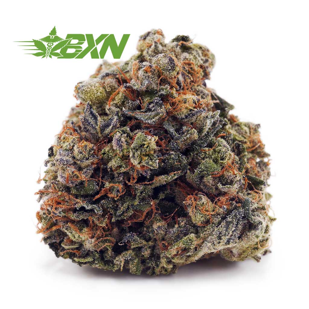 Buy Shiva Skunk AA at BudExpressNOW Online Shop
