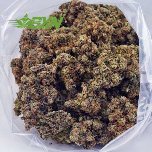 Buy Shiva Skunk AA at BudExpressNOW Online Shop